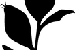 Logo von thoughts of september, Label für nachhaltige Unterwäsche
